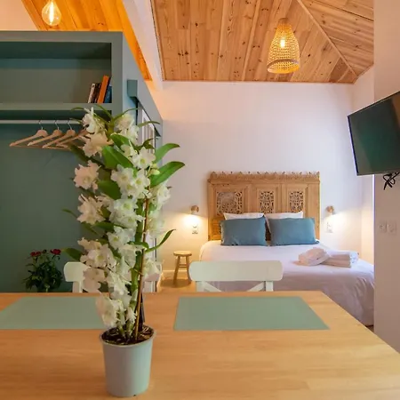 Apartman Welcom Apparts-chic Et Intimiste-100m Du Port La Teste-de-Buch